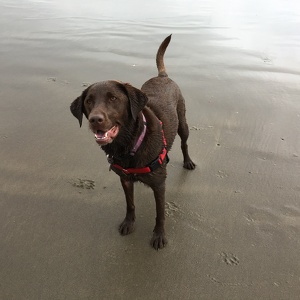 Fundraising Page: Jeanne Binder